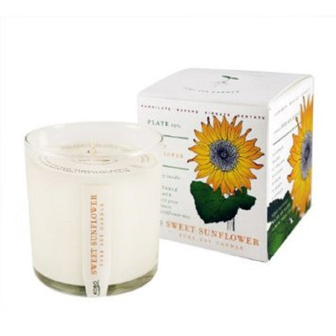 Kobo Sweet Sunflower Candle with Plantable Box candle
